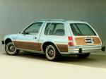 AMC Pacer DL 2-Door Station Wagon 1980 года